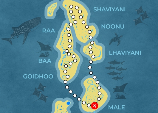 Expédition Grand Nord