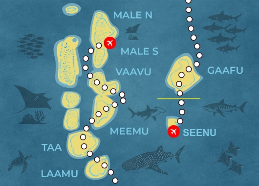 Expédition Requins - Mantas